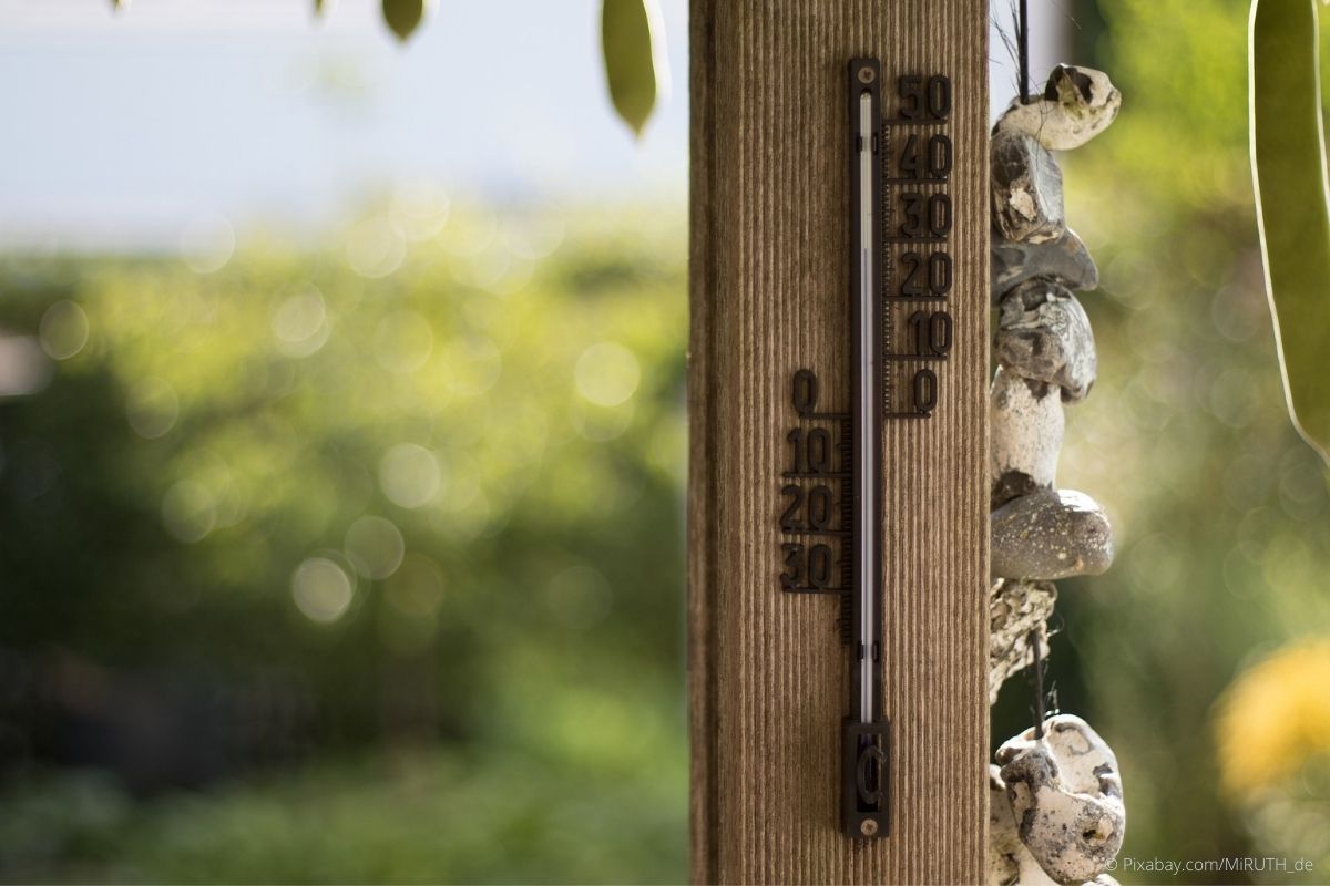 Thermometer im Garten
