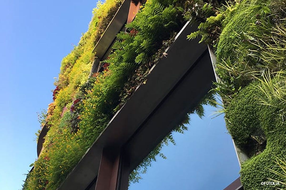 Vertical Garden GartenundFreizeit.de