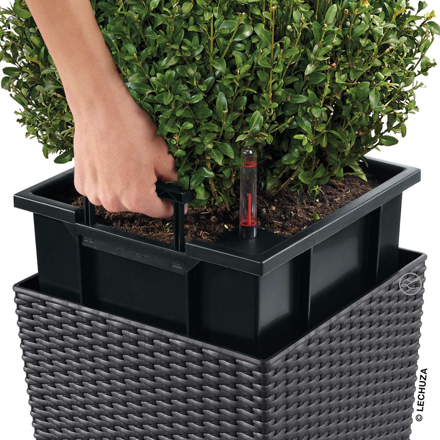 Lechuza Cube Pflanztopf 50x50x50cm Kunststoff Granit