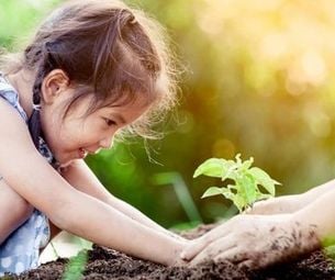Garten hundesicher machen so geht's! GartenundFreizeit.de