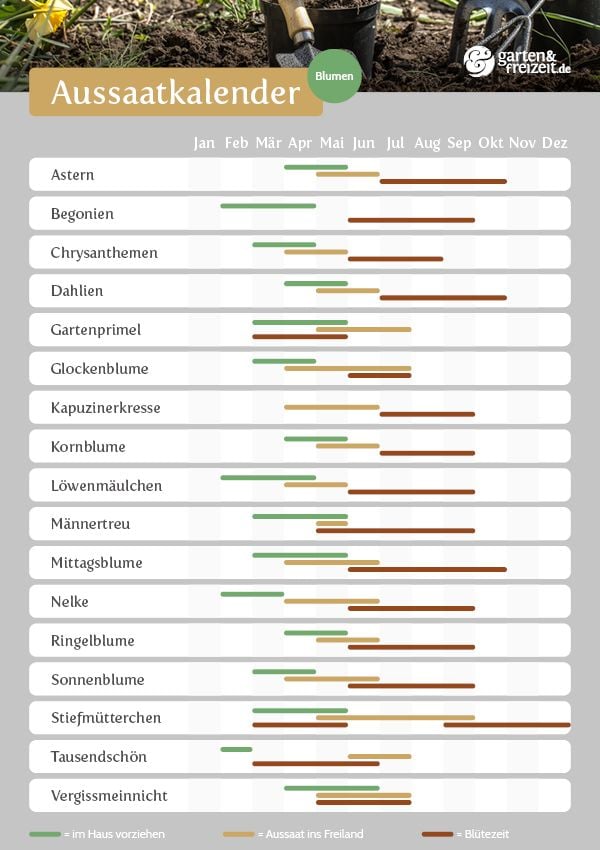 Aussaatkalender GartenundFreizeit.de