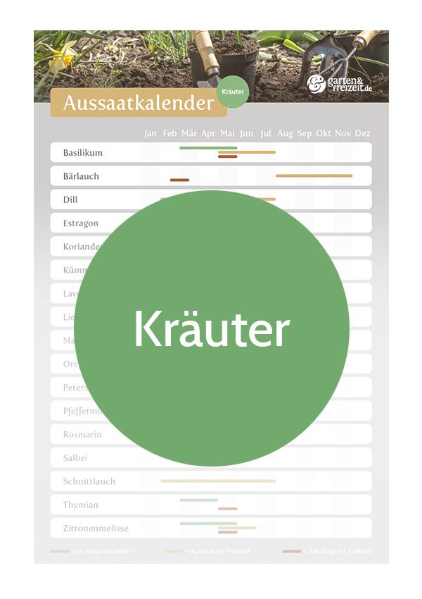 Aussaatkalender | Garten-und-Freizeit.de