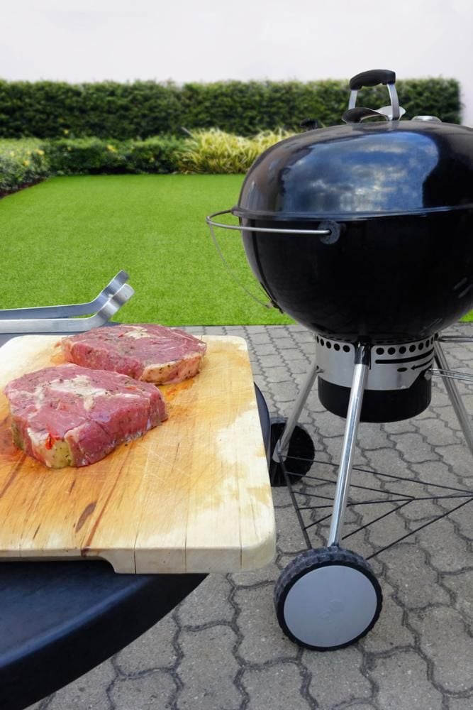 Weber Grill Master Touch