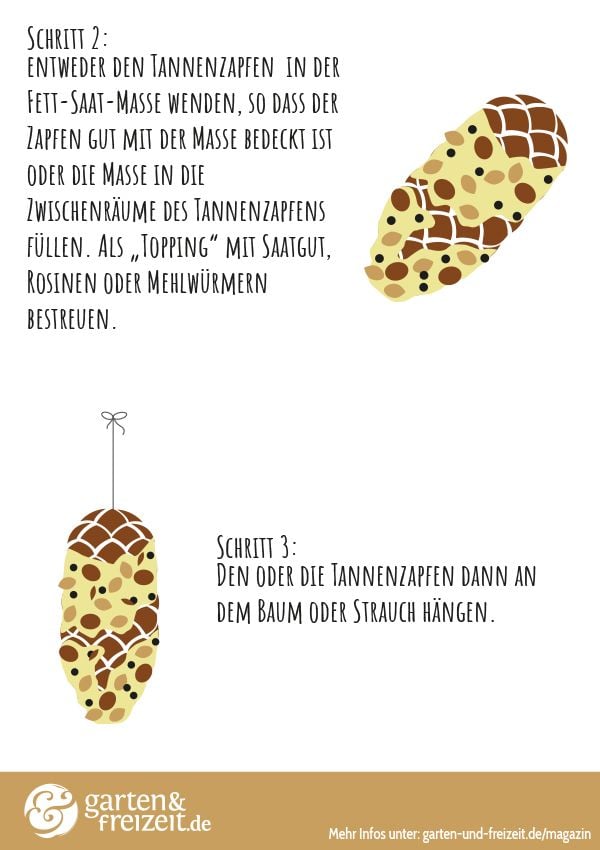 Grafik 2 Tannenzapfen als Vogelfutter