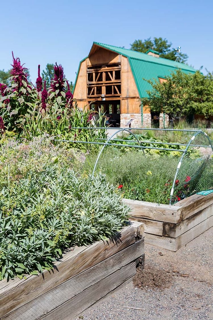 Bauerngarten mit Gemüse und anderen Nutzpflanzen