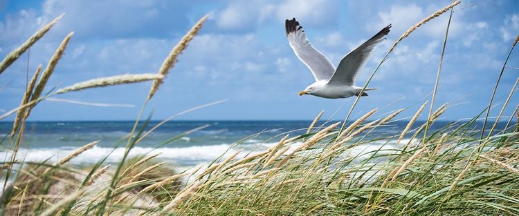 Korrosionen am Metall am Meer