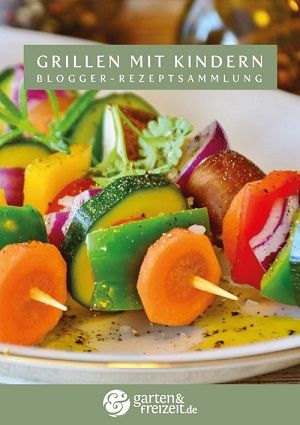 ebook Grillen mit Kindern