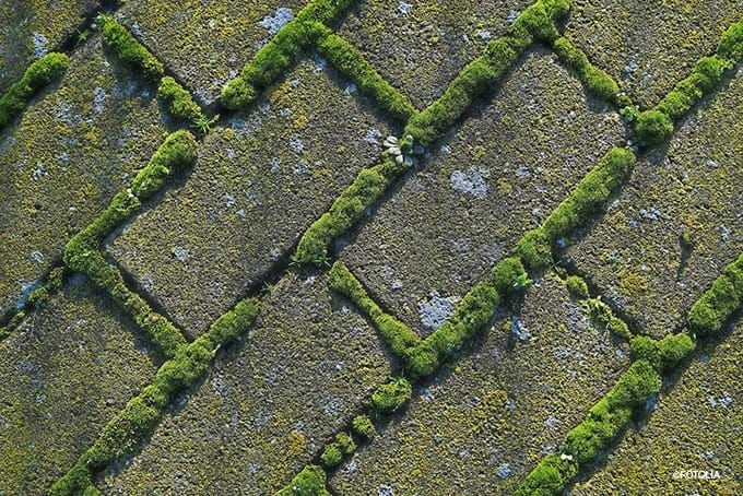 Gartenweg von Moos befreien