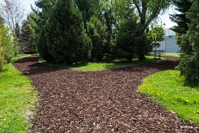 Gartenweg mit Rindenmulch