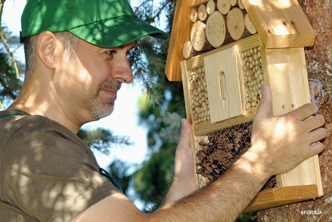 Insektenhotel Standort Höhe