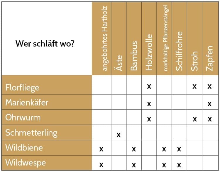 Wer schläft wo im Insektenhotel?