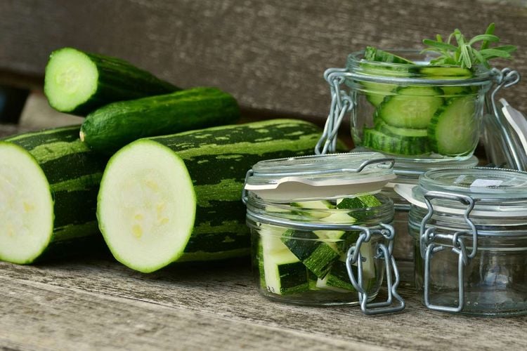 ertragreiche Ernte: Zucchini