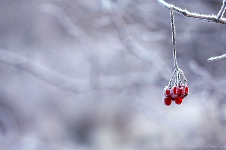 Winterlandschaft