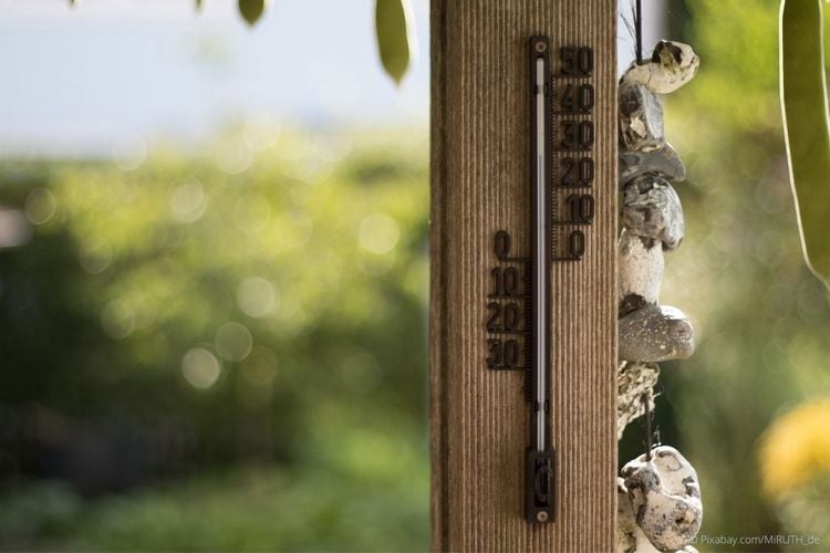 Thermometer im Garten