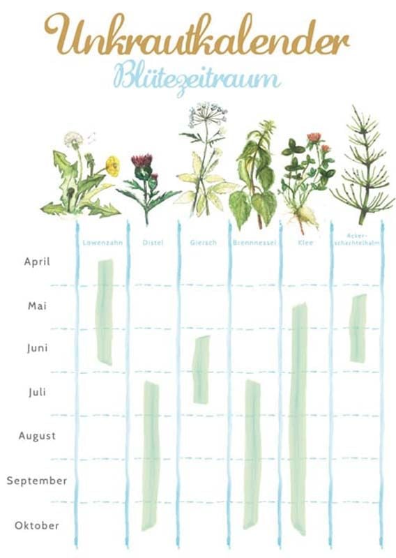 Grafik Unkrautkalender