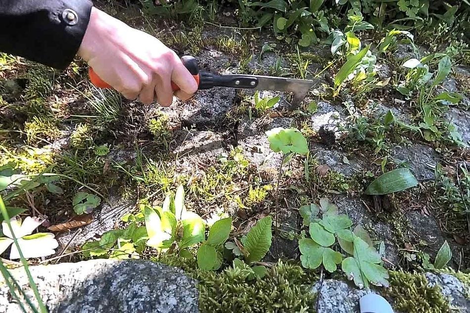 Fugenkratzer gegen Unkraut