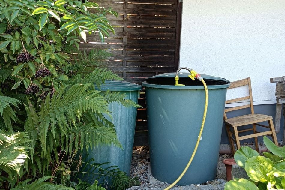 Ist es illegal Regenwasser zu sammeln?