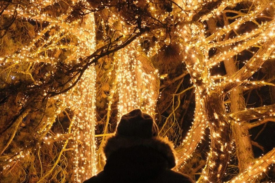 Außenbeleuchtung für Weihnachten