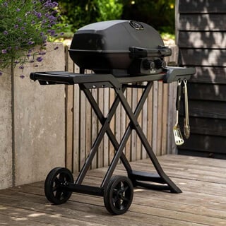 Napoleon Grills