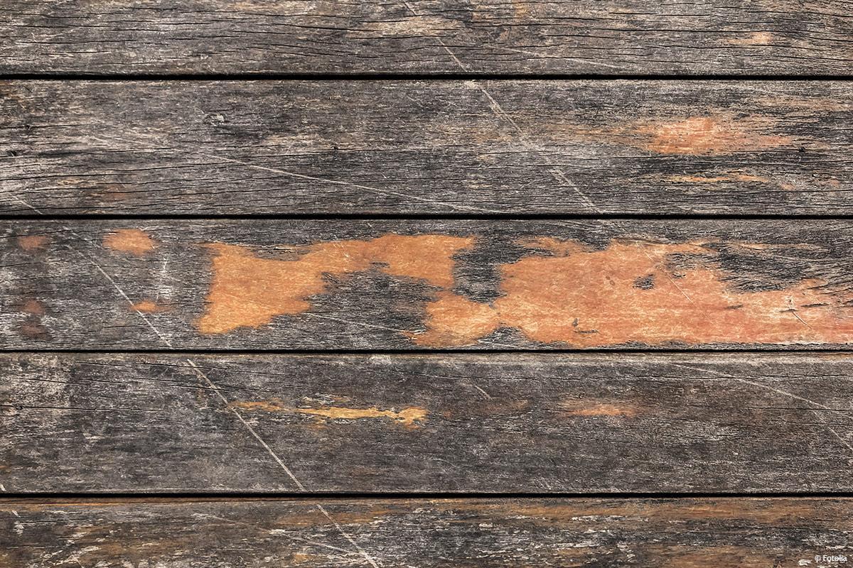 Was kann ich gegen Holzschimmel und Stockflecken tun?