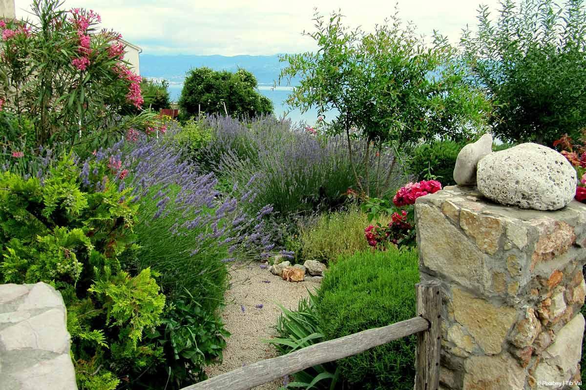 Mediterraner Garten | Garten-und-Freizeit