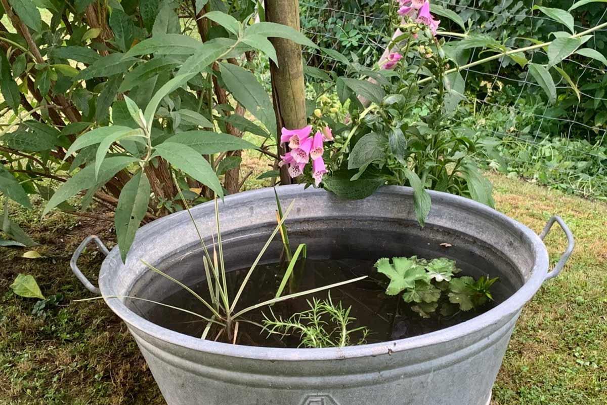 Mini-Teiche für jeden Gartenstil