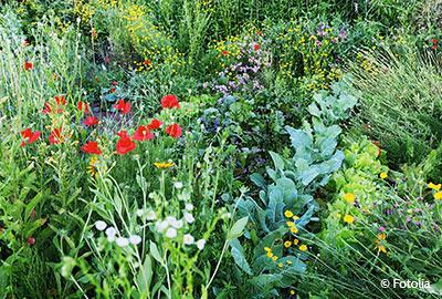 Blackbox Gardening