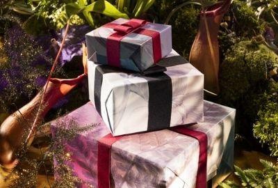 Upcycling gewächshaus - Die ausgezeichnetesten Upcycling gewächshaus verglichen!