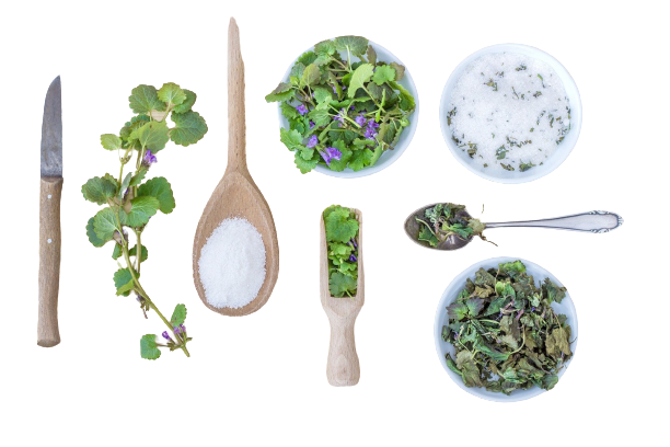 Gartenküche