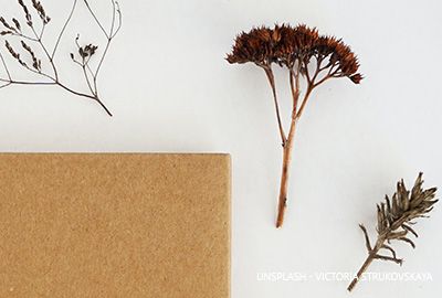 Geschenkpapier DIY mit natürlichem Blätterdekor