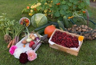 Selbstversorger Garten