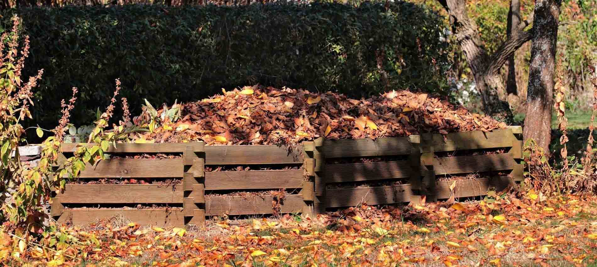 Laub entsorgen