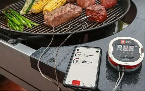 Grillthermometer im Test