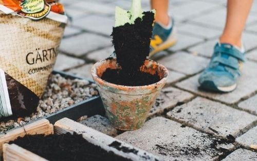 Urban Gardening